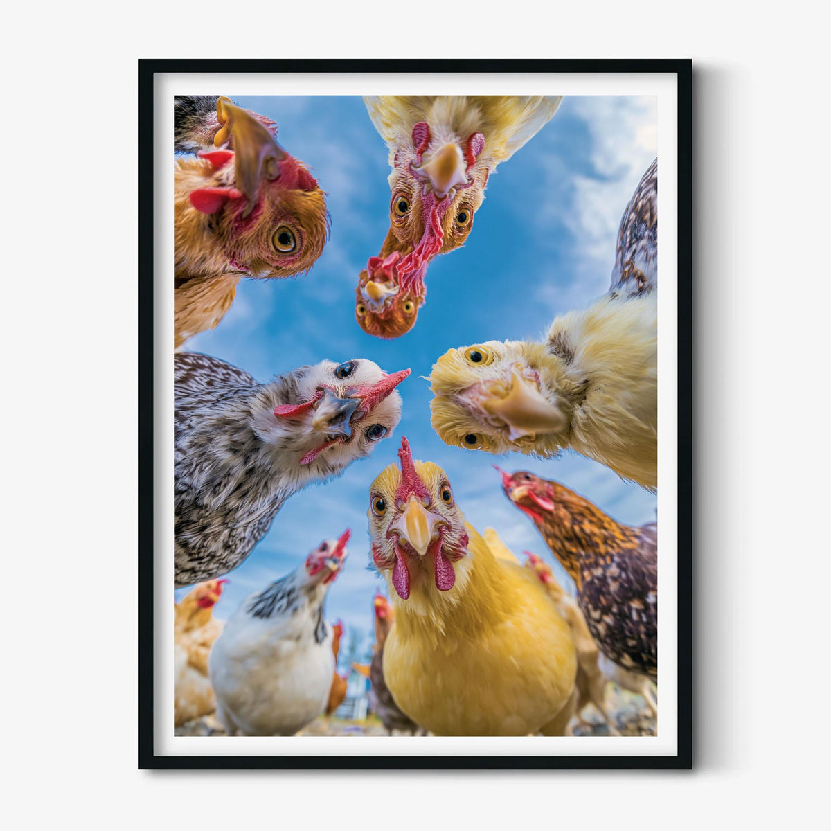 Funny Chicken Wall Art, Hen Coop Poster Print, Animal Picture, Kitchen Farmhouse Decor