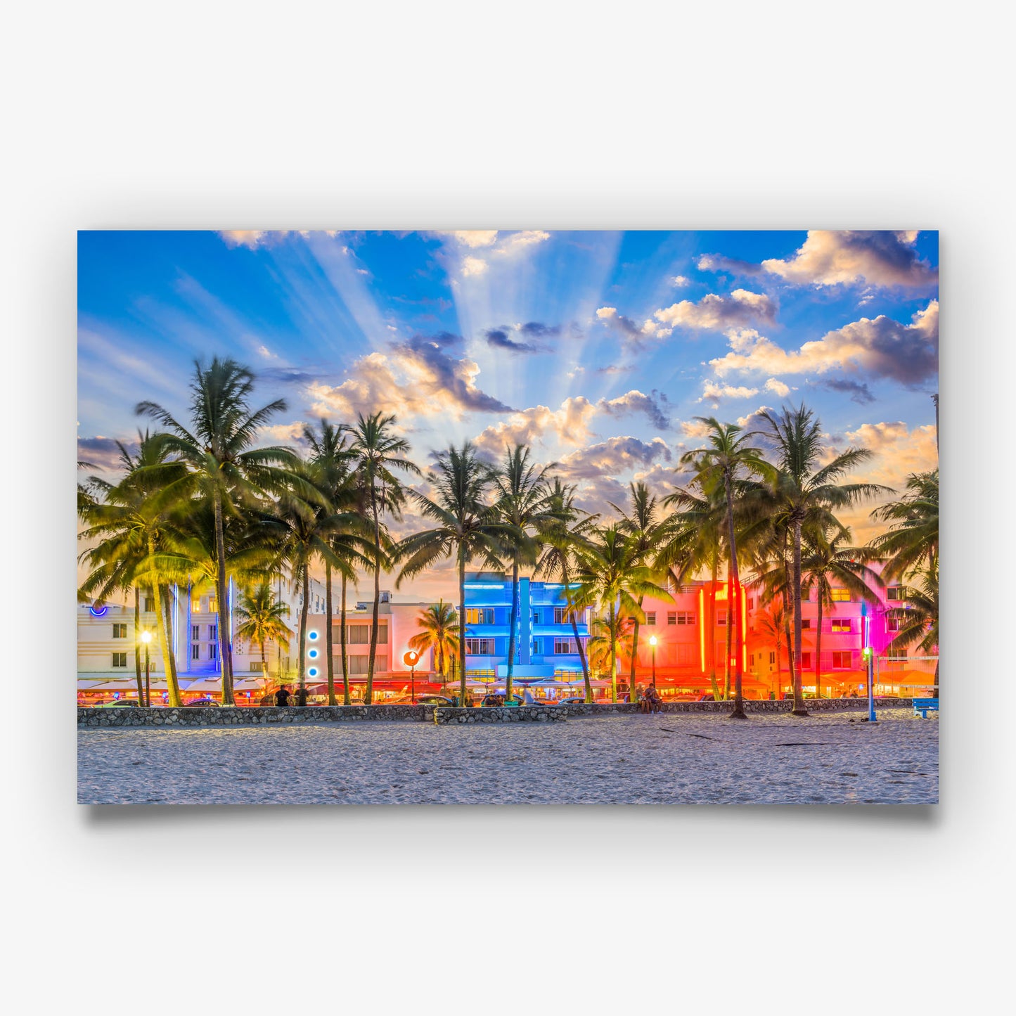 Miami Beach Print, Neon Palm Tree Photography Wall Art Poster, Tropical City Decor