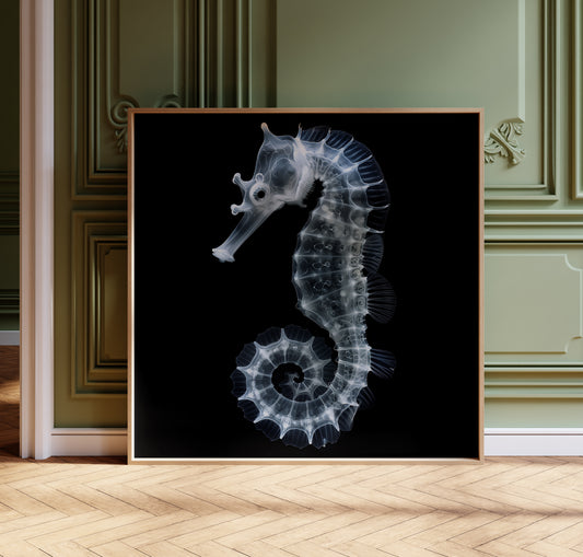 Seahorse Print - Gothic Decor - Ocean Poster