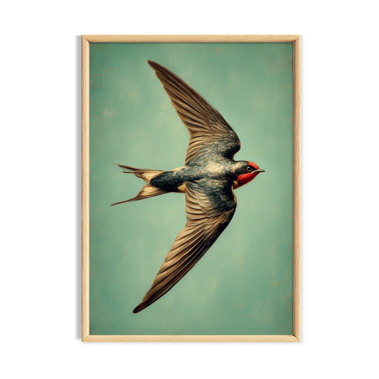 Swallow flying across a soft turquoise background.