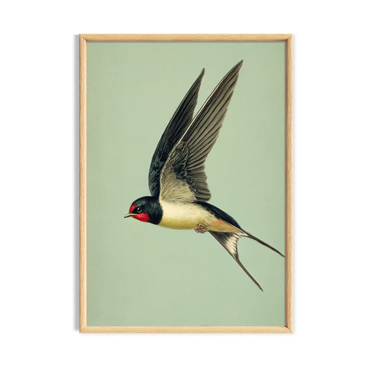 Swallow flying across a pale green background.