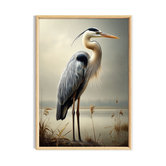Elegant grey heron standing among reeds beside still water.
