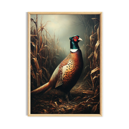 Colourful pheasant standing among dark autumn reeds and woodland grasses.