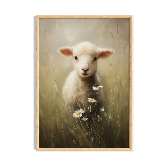 Young white lamb standing among small daisies in a soft meadow.