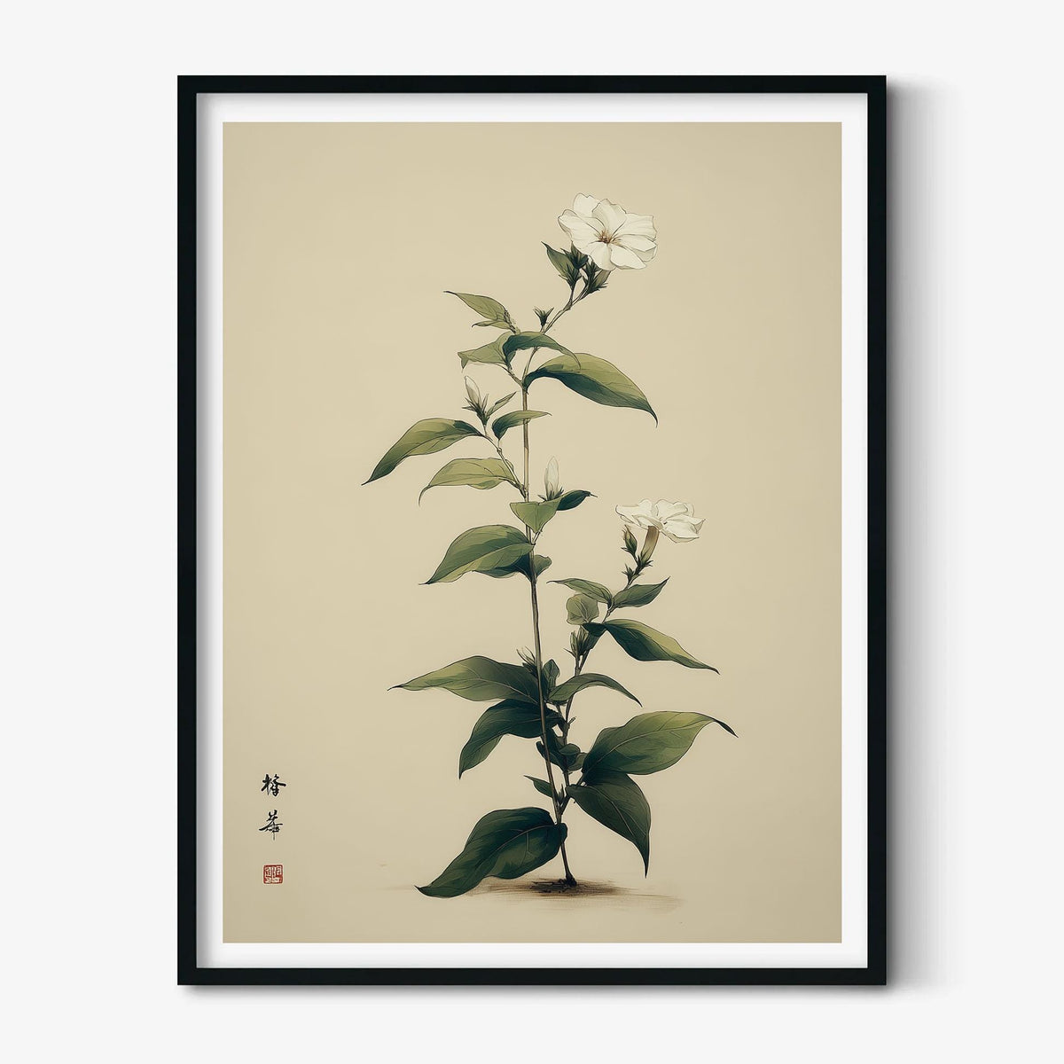 Jasmine Art Print | Chinese Botanical Wall Art | White Flower Poster | Minimal Floral Decor