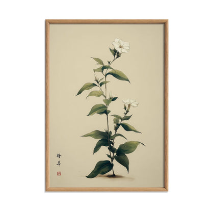 Jasmine Print, Chinese Botanical Wall Art, White Flower Poster, Minimal Floral Decor