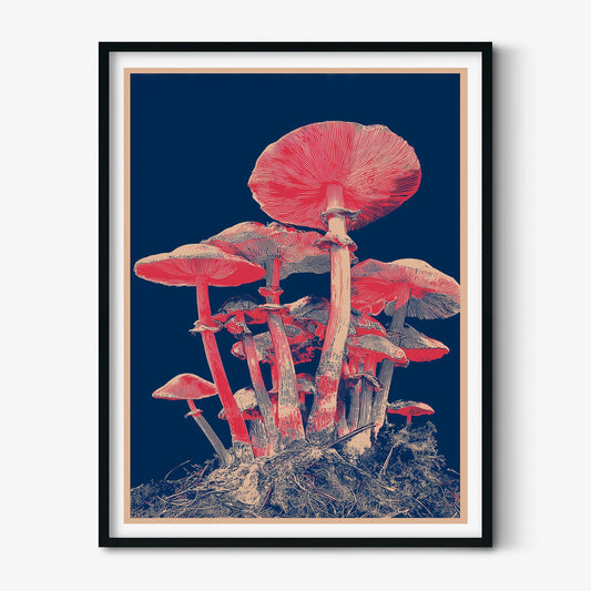 Japanese Mushroom Art Print - Modern Botanical Wall Decor, Navy and Coral Illustration