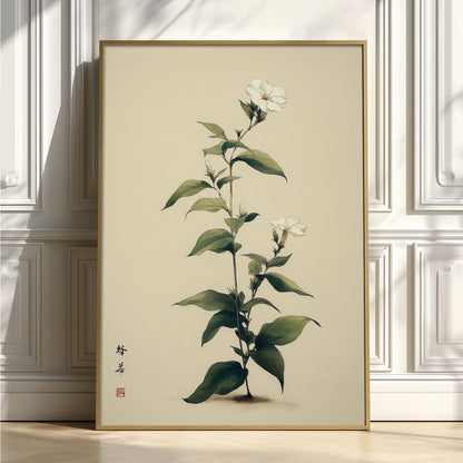 Jasmine Art Print | Chinese Botanical Wall Art | White Flower Poster | Minimal Floral Decor