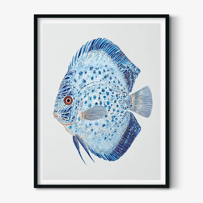 Discus Fish Poster, Blue Fish Print, Aquarium Wall Art, Ocean Illustration