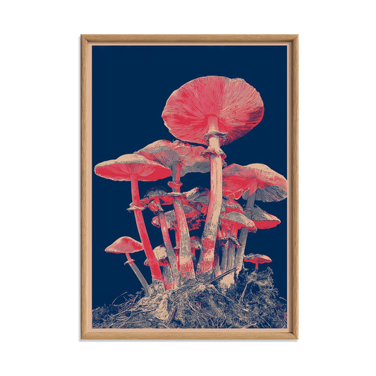Japanese Mushroom Art Print - Modern Botanical Wall Decor, Navy and Coral Illustration