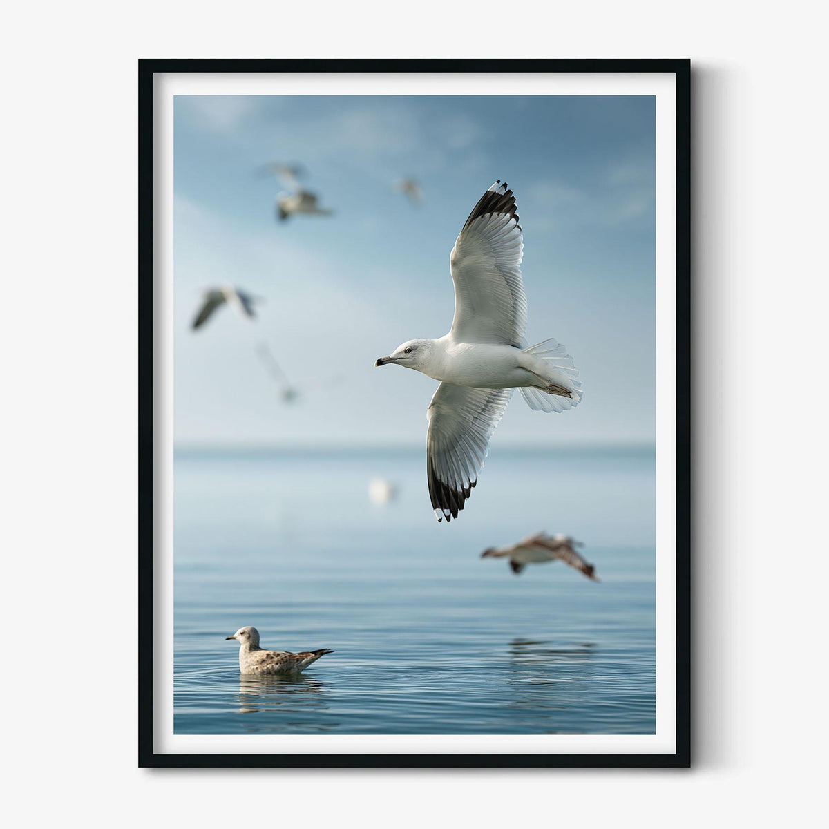 Seagull Photo Print, Coastal Ocean Bird Art, Calm Beach House Wall Decor