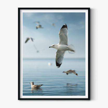 Seagull Photo Print, Coastal Ocean Bird Art, Calm Beach House Wall Decor