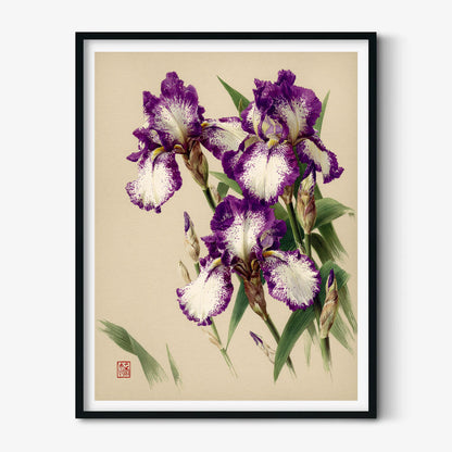 Purple Iris Botanical Art Print, Vintage Floral Japanese Garden Poster