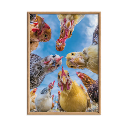 Funny Chicken Wall Art, Hen Coop Poster Print, Animal Picture, Kitchen Farmhouse Decor