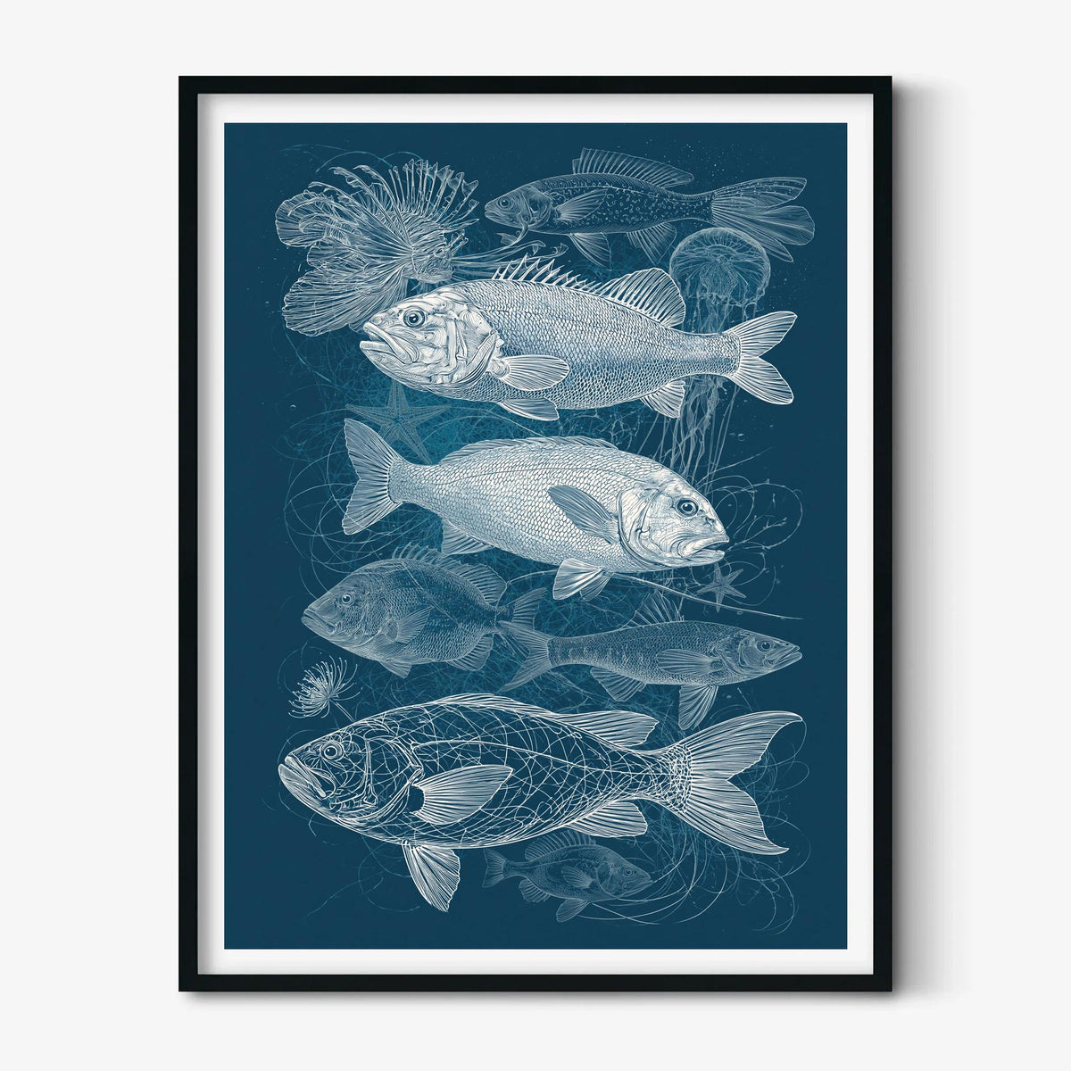 Fish Poster, Blue Ocean Illustration, Nautical Art Print