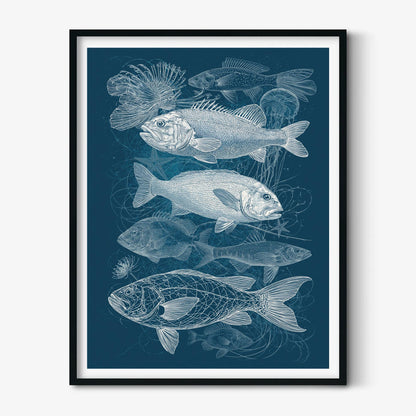 Fish Poster, Blue Ocean Illustration, Nautical Art Print