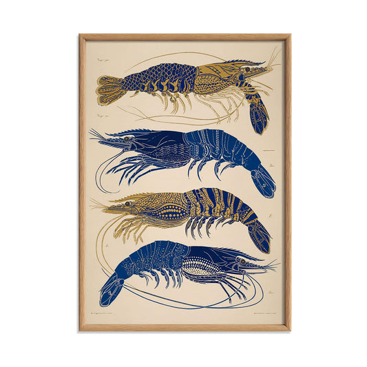 Blue Gold Shrimp Print, Vintage Seafood Wall Art Poster, Coastal Kitchen Decor