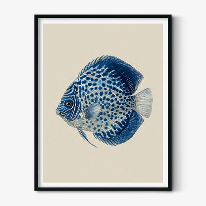 Blue Discus Fish Poster, Watercolour Fish Print, Aquarium Wall Art