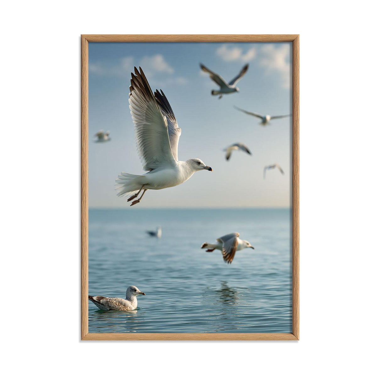 Seagull Wall Art, Coastal Bird Poster Print, Ocean Photography Picture, Beach House Sea Decor