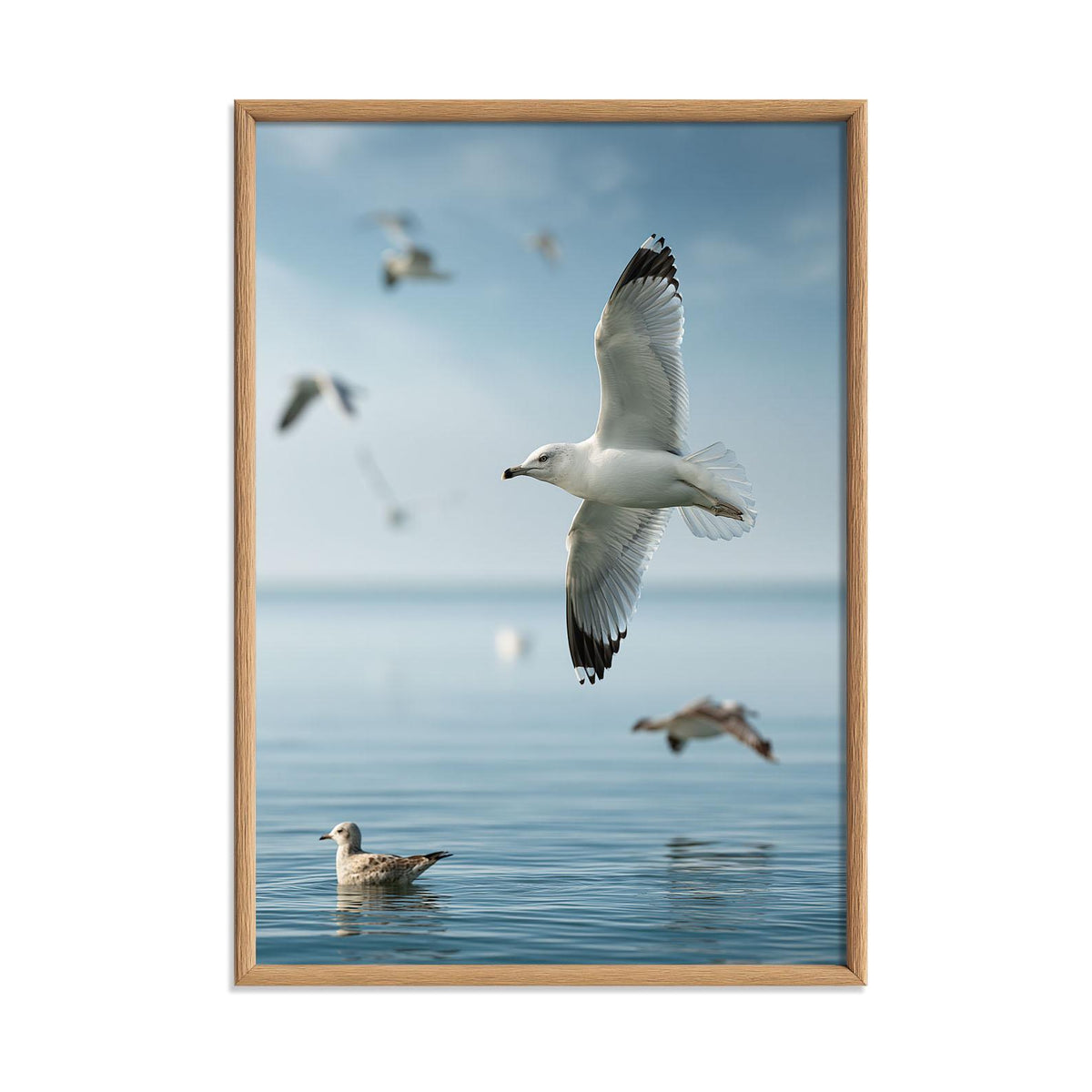 Seagull Photo Print, Coastal Ocean Bird Art, Calm Beach House Wall Decor
