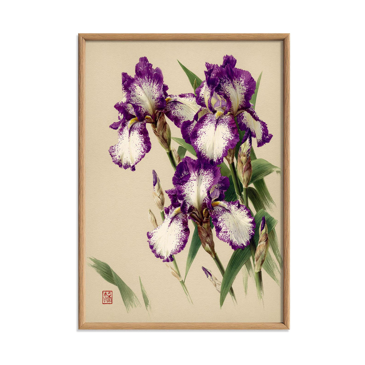 Purple Iris Botanical Art Print, Vintage Floral Japanese Garden Poster