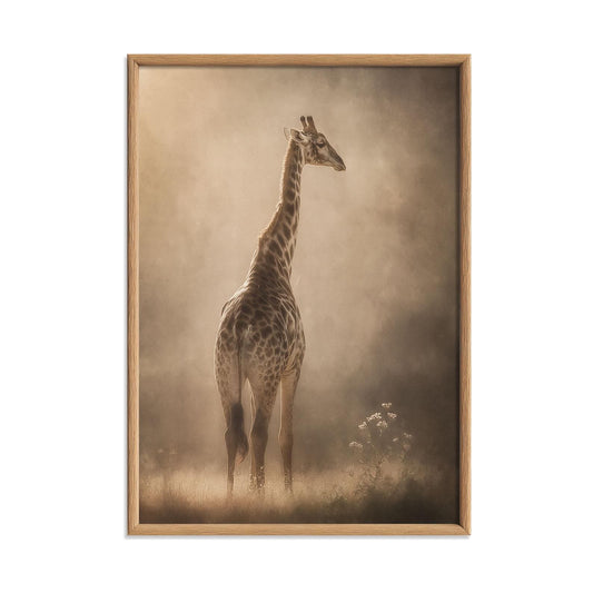 Giraffe Portrait, Misty Savannah, Wildlife Photography Print, African Animal Art