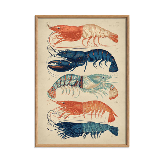 Vintage Lobster Print, Coastal Seafood Wall Art Poster, Nautical Kitchen Decor