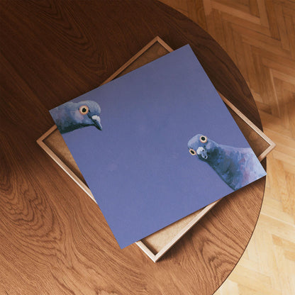 Funny Pigeon Print, Curious Blue Pigeons Wall Art, Quirky Square Bird Poster