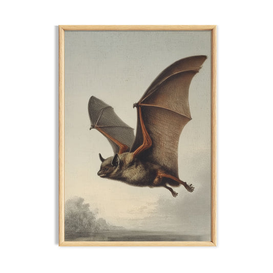 Vintage bat cottagecore print with antique flying bat natural history illustration